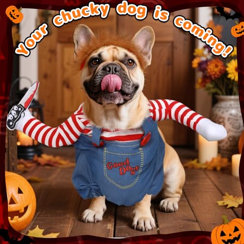 Disfraz de Halloween Chucky para Perros Pequeños XS miniatura 6