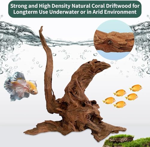 Image of Hamiledyi 24 Pcs Small Driftwood for Aquarium 3 inch-5 inch Driftwood Branches Aquarium Decoration Reptiles Reptile Tank Accessories Assorted Size Natural Habitat Decor Wood for Lizad