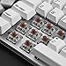 immagine 3Qisan Tastiera per Giochi Meccanici Tastierini per tastiere PBT 69 Tasti Interruttore Gateron Brown Tastiera per Giochi con Layout IT retroilluminato Bianco-Bianco