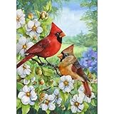 DIAMOND ART CLUB Cardinal Couple Diamond Painting Kit, Fun DIY Crafts for Adults and All Ages, Round Diamond Art Canvas for Beginners, 13' x 18' (32.8 x 46 cm)