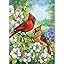 Cardinal Couple
