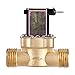 Aeloa Elettrovalvola, Valvola Magnetica Elettromagnetica a Solenoide N Ormalmente Chiusa in Ottone per Controllo dell'Acqua,AC 220V