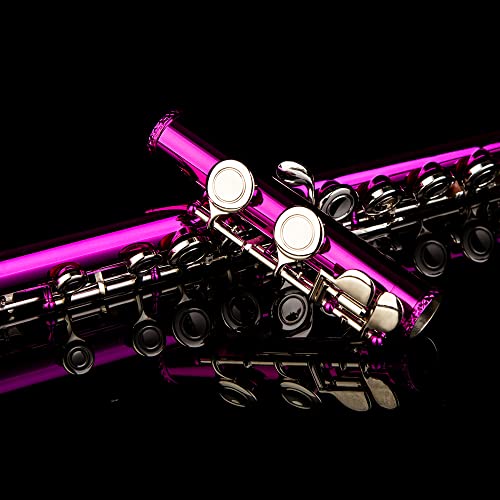 Rhythm C Flutes With Engraved Flower Closed Hole 16 Keys Flute For Student, Beginner With Cleaning Kit, Stand, Carrying Case, Gloves, Tuning Rod, Pink #TOP5