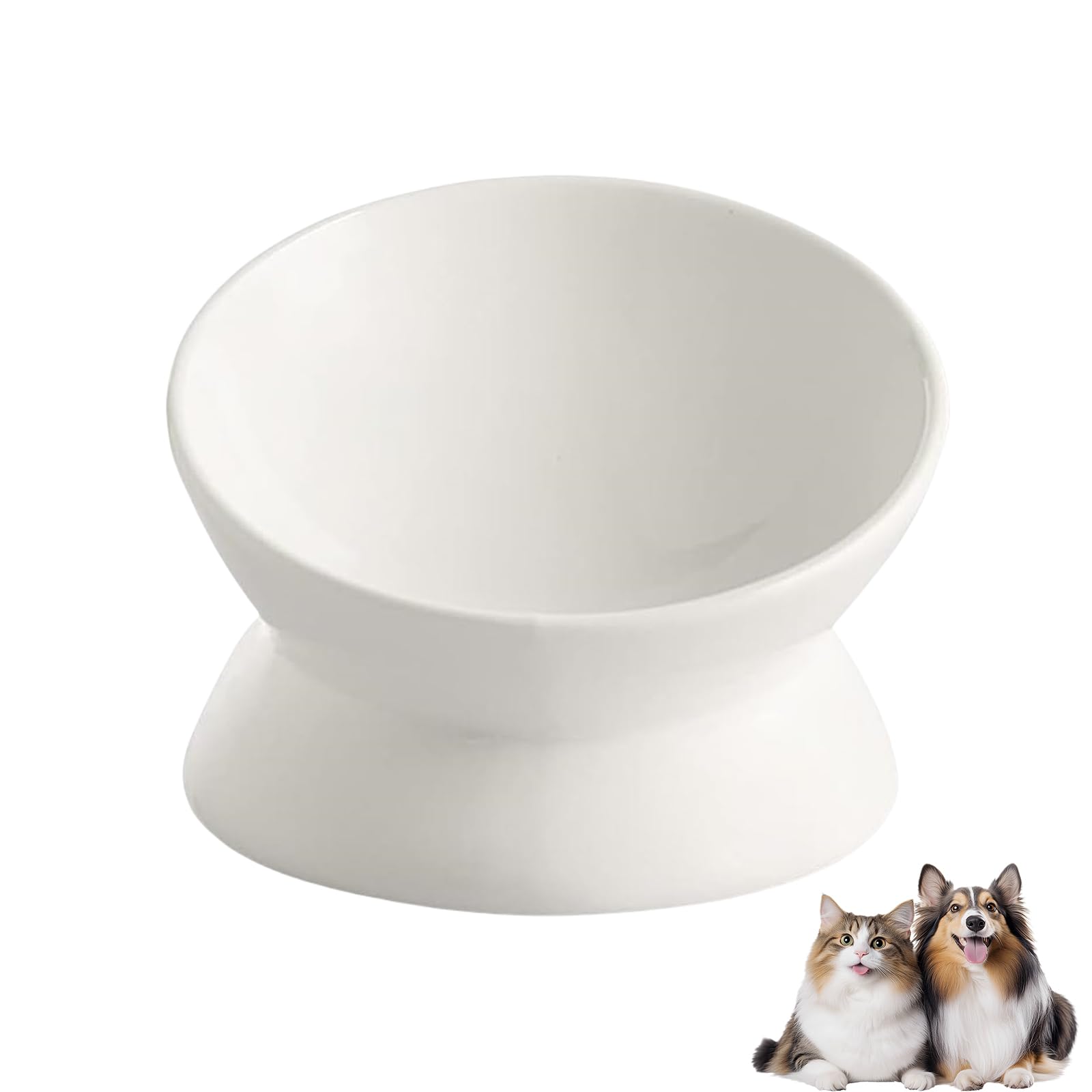 Elevated Cat Food Bowl, Ceramic Raised and Tilted Pet Water Bowl, Anti Vomiting Cat Feeding Bowls - Stress Free Shallow Cat Bowl, Stress Free for Cats and Small Dogs,150ml/5oz (White, 1 Pack)