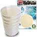 Malt Extract Agar Plates - Evviva Sciences - Great for Mushrooms, Molds, Fungus - 10 Sterile Prepoured MEA Petri Dishes - Also Great for Science Fair Projects!