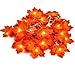 Produktbild Ahornblätter Lichterketten, 6.6ft 20 LED Herbst Ahornblatt Girlande Lichtern 3AA batteriebetrieben Herbst Blättergirlande Dekoration Lichter, für Party, Erntedankfest, Weihnachtsbeleuchtung