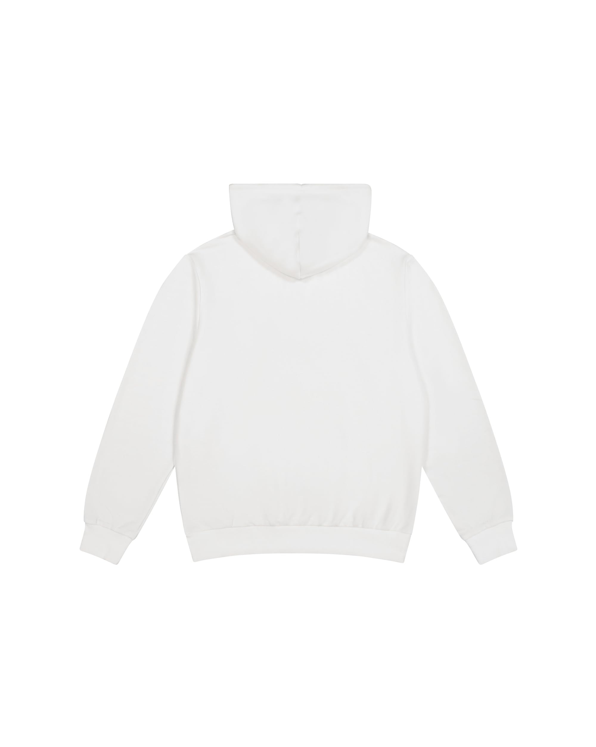 Champion Legacy - Graphic Hoodie Felpa con Cappuccio Uomo (Pacco da 1)