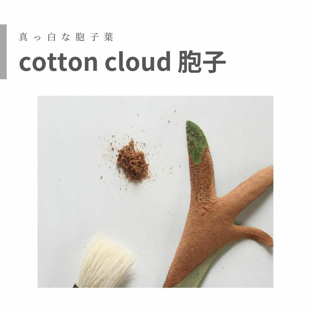 Amazon.co.jp: cotton cloud 胞子 ビカクシダ コットンクラウド : おもちゃ
