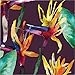 Tropical Lunch Paper Napkins- 16 pcs.