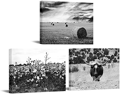 LevvArts 3 Piece Wall Art Black and White Texas Countryside Landscape Pictures Longhorn Cattle Hay Bales Cotton Field Photo Canvas Art Painting for Home Farmhouse Decor Framed Ready to Hang