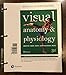 Visual Anatomy & Physiology