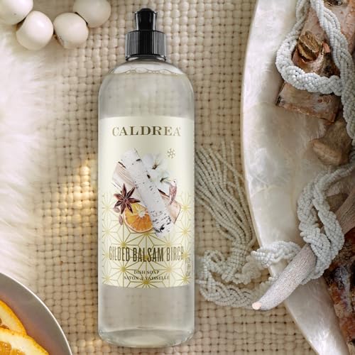 Image of Caldrea Dish Soap, Biodegradable Dishwashing Liquid made with Soap Bark and Aloe Vera, Gilded Balsam Birch Scent, 16 oz