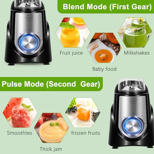 Inexpensive Blender For Ice