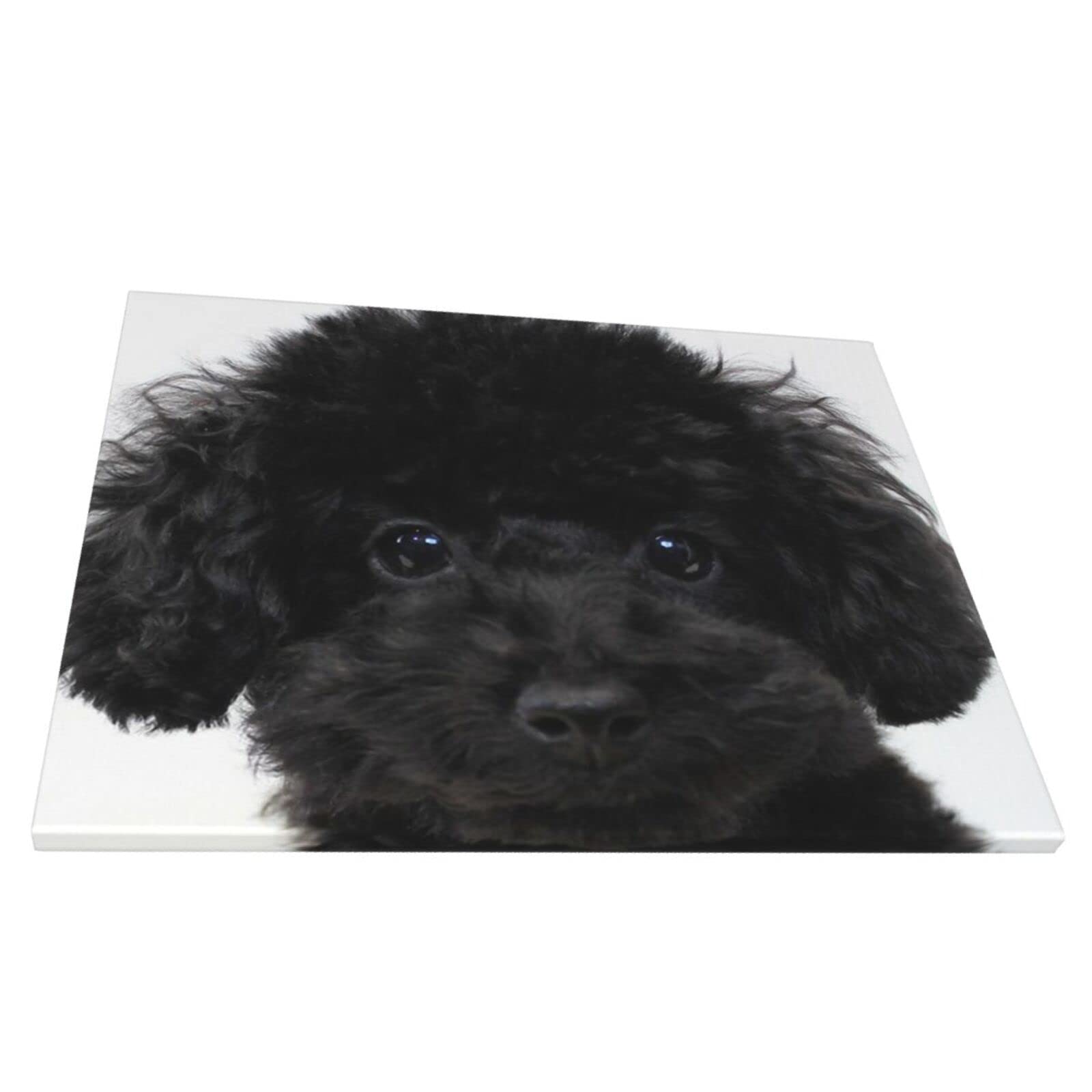 Amazon.co.jp: ブラック トイプードル アートパネル 装飾画 壁掛け絵画  