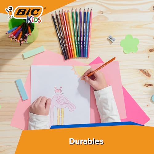 Image of BiC Kids EVOLUTION Ecolutions Colouring Pencils Set of 24