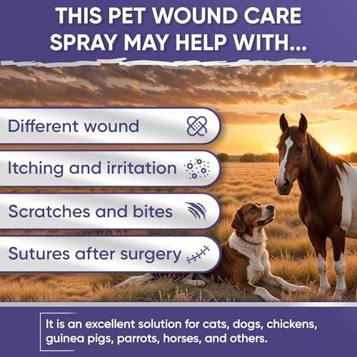 Dog Wound Spray | Cat and Dog Wound Care | Pet Spray with Lavender | Silver Spray for All Breeds | Lavender Formula | Natural Care for Cats | 4 Oz