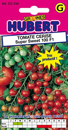 20 Graines de Tomate Cerise Super Sweet 100 F1