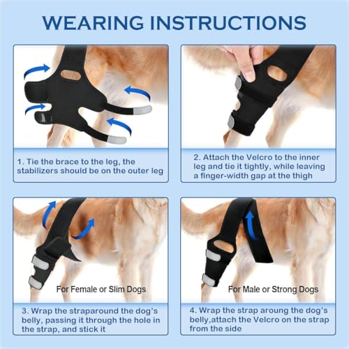 Image of JOMMIE CHEN Dog Knee Brace for Torn ACL, Hind Leg Support Better Recovery with Dog Leg Adjustable Dog Acl Brace (Small)