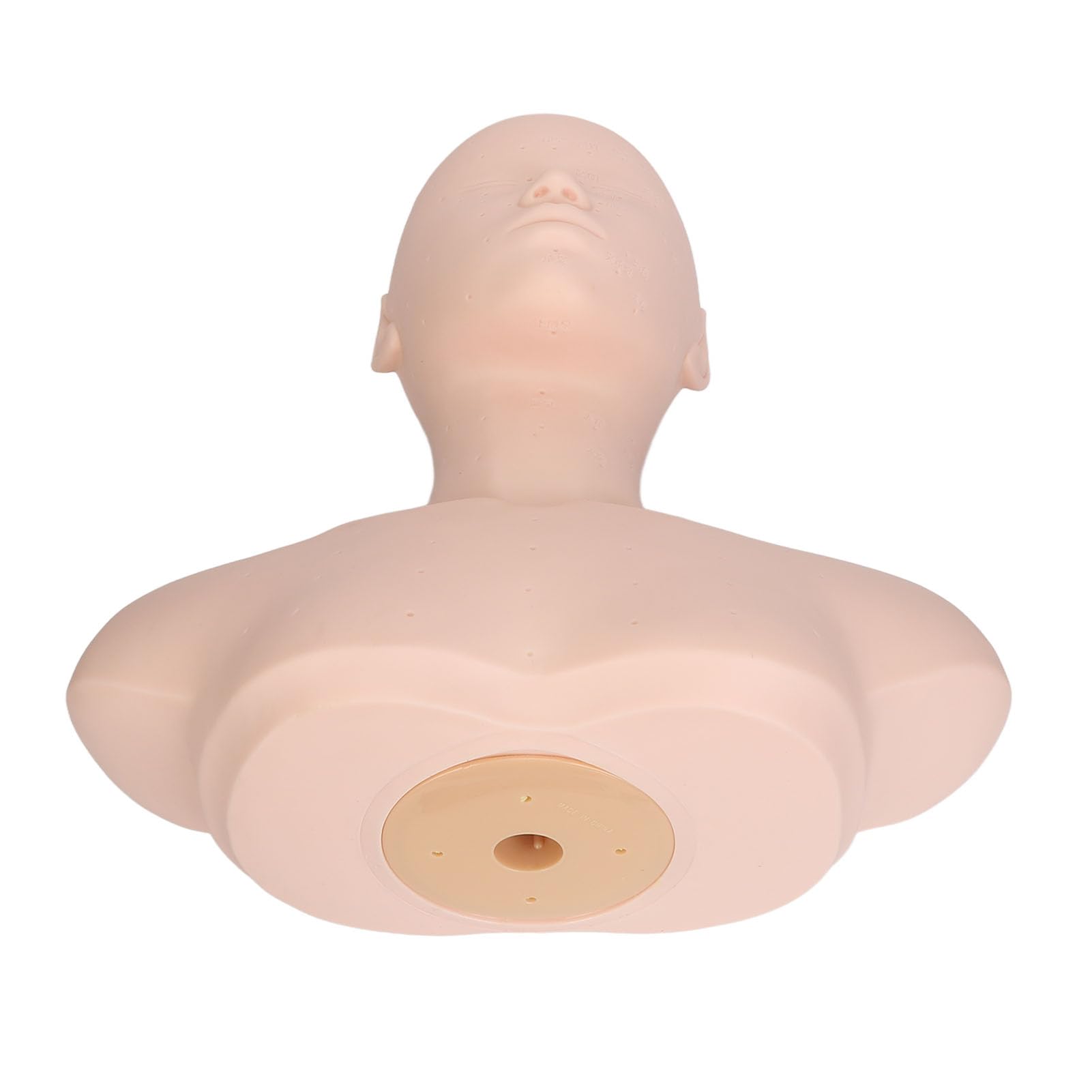 Testa di Manichino per Estetica con Spalle, Manichino Allenamento Professionale, Modello di Testa di Manichino per Simulazione in PVC per Cure di Bellezza, Massaggio Agopuntura
