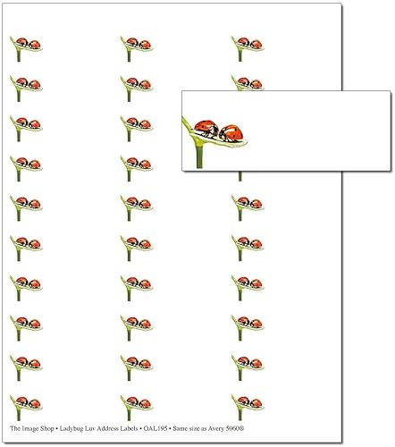 The Image Shop Etiquetas de dirección Etiquetas de dirección de Ladybug Luv para impresora Etiquetas de dirección 1 pulgada x 2-58 pulgadas 30