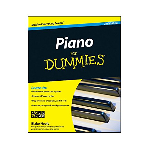 Piano for Dummies view 2
