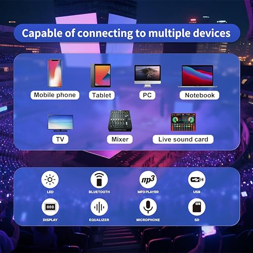 Portable Wireless PA Speaker System