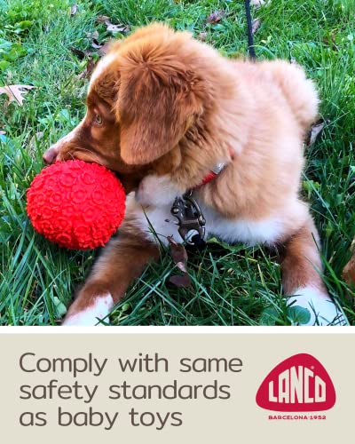 Lanco-Sensory-Ball-Medium-Squeaky-Dog-Ball-Squishy-Soft-Sensory-Indoor-Play-Natural-RubberLatex-Complies-with-Same-Safety-Standards-as-Baby-Toys-4-inches