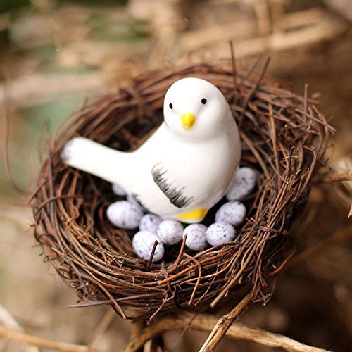 Buy Shopystore Bird Send Random Artificial Nest Bird Eggs