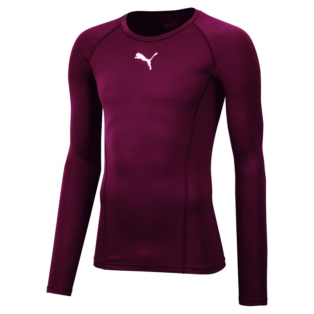 Puma Men's Liga Baselayer Tee Long Sleeve Functional Underwear, Cordovan, X-Large, Manufacturer size(56/58)