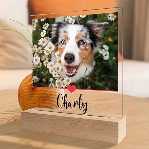 True Statements Personalisiertes Foto Geschenk für Hundebesitzer: Acrylaufsteller mit eigenem Bild, Geschenke für Hundeliebhaber Haustiere- Acrylglas inkl. Holzsockel - 15x18 cm (Herzlinie)