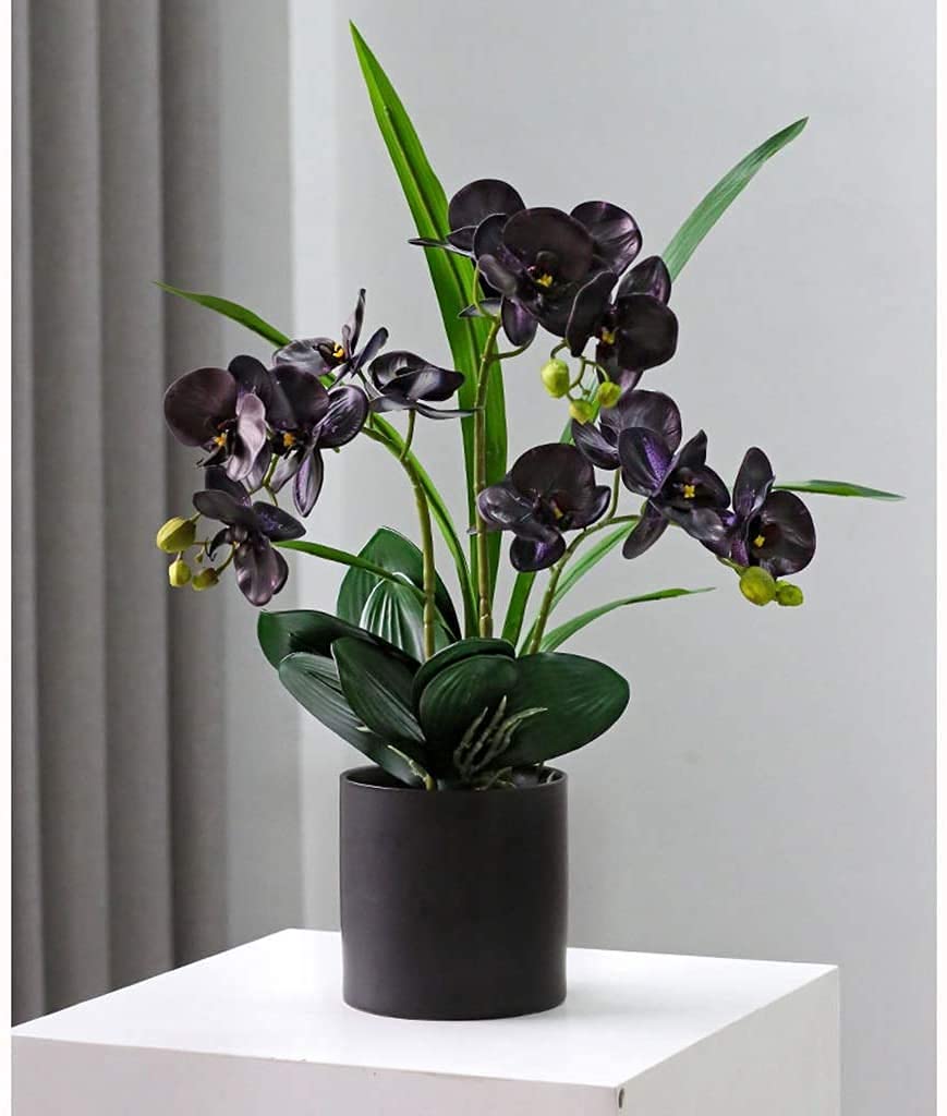 Fiori Artificiali Composizione Floreale Finta Phalaenopsis, Bonsai di Orchidea Artificiale in Vaso, Pianta di Fiori Artificiali per la Decorazione del centrotav