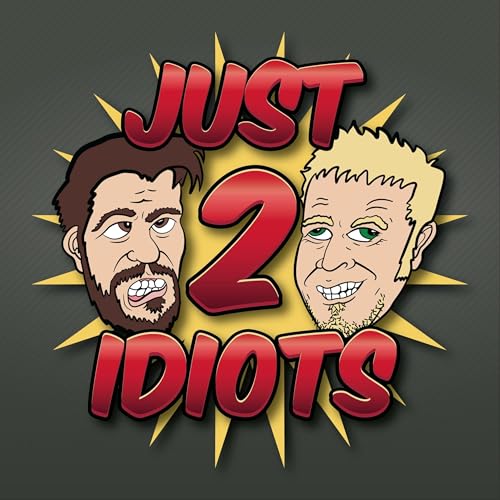 Page de couverture de Just 2 Idiots