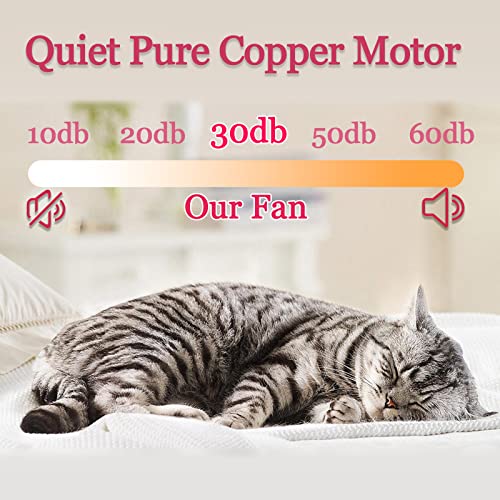 Modern Ceiling Fan With Light Low Profile 20”, Bladeless Ceiling Fan With Light And Remote Control Flush Mount Ceiling Fan Light 3 Colors 3 Speeds Timer For Bedroom Kids Room Living Room White #TOP3