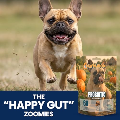 Image of Dog Probiotic Soft Chews, 6 Billion CFU, 60 Count | Probiotic strains and digestive enzymes support gut balance, digestion, nutrient absorption and normal stool quality.