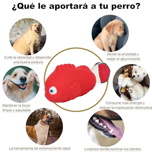 Juguetes Para Perro, Pet Products Imagen adicional