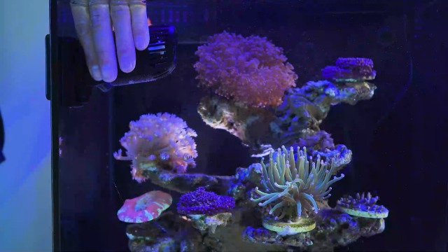 Amazon.com : hygger Mini Wave Maker for 15-40 Gallon Aquarium with