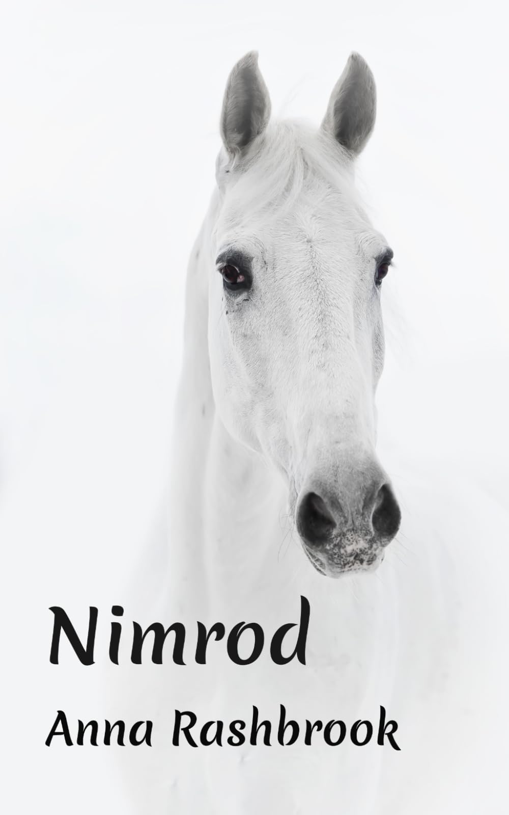 Nimrod