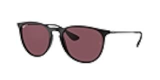 Rb4171 Erika Round Sunglasses