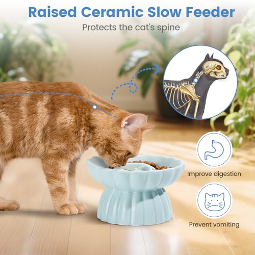 IDOGCHEW Keramik Anti Schling Napf Katze Erhöht, Slow Feeder Nassfutter, sehr gut rutschfest, einfach zu reinigen, Antischlingnapf für Katzen und kleine Hunde (Hellgrün)