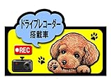 ドライブレコーダー 搭載車 録画中 犬 ステッカー トイプードル33 シール 車 車用 雑貨 グッズ