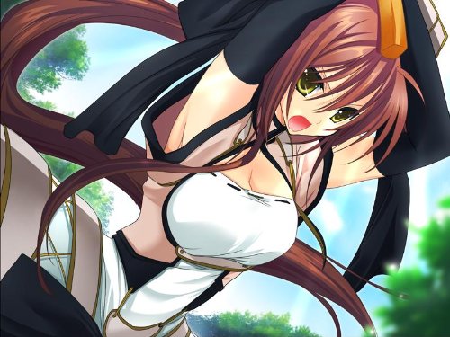 戦極姫 ～戦乱に舞う乙女達～の関連画像1