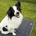your GEAR Lana Hundematte XXL 90x60 cm – Hundedecke für große Hunde waschbar 60°C – Wasserdicht & Robust – Baumwolle Hundekissen – Auto Kofferraummatte Sofaschutz – XXL Haustiermatte