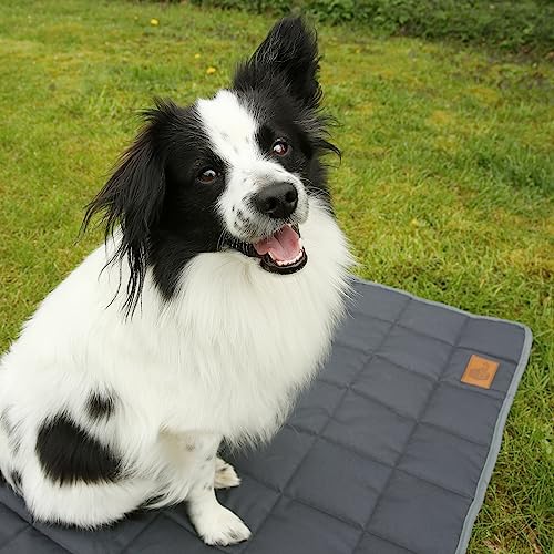 your GEAR Lana Hundematte XXL 90x60 cm – Hundedecke für große Hunde waschbar 60°C – Wasserdicht & Robust – Baumwolle Hundekissen – Auto Kofferraummatte Sofaschutz – XXL Haustiermatte