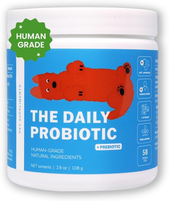 Human Grade Daily Probiotic for Dogs – Vet Approved with 7 Clinically Proven Strains + Prebiotics, Gut & Immune Support with Pumpkin & Carrot – 60 Servings – 5 Billion CFU per Scoop