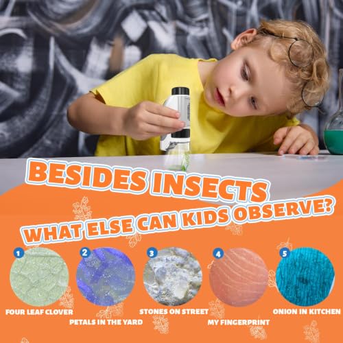 Portable Pocket Microscopefor Kids | Handheld Kids Microscope | Microscope for Kids-50X-300XMagnification | Toys Gifts | Portable Edu Gift | Interactive Learning | Ages 3+,Dark Green - image 2