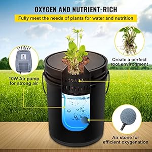 Vevordwchydroponicsystem5gallon8bucketsdeepwaterculturegrowingbuckethydroponicsgrowkitwithpumpairstoneandwaterleveldeviceforindooroutdoorleafyvegetables Urban Country Home Decor Vevor dwc hydroponic system 5 gallon 8 buckets deep water culture growing bucket hydroponics grow kit with pump air stone and water level device for indooroutdoor leafy vegetables urban country home decor
