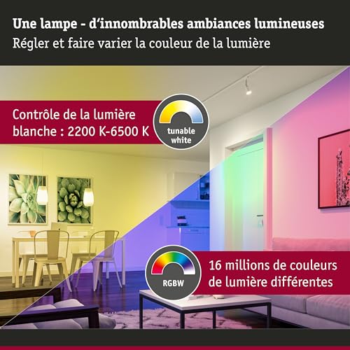 Kit Zigbee E14 LED RGBW Paulmann gradable pour ambiance sur mesure - 4