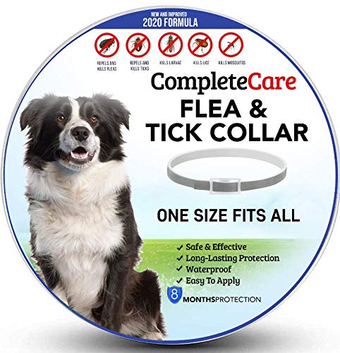 CompleteCare Flea and Tick Collar for Dogs | Prevents and Removes Fleas, Ticks, Lice and Mosquitos in 24 Hours | 8 Months Protection | 100% Natural Essential Oil Flea and Tick Prevention for Dogs