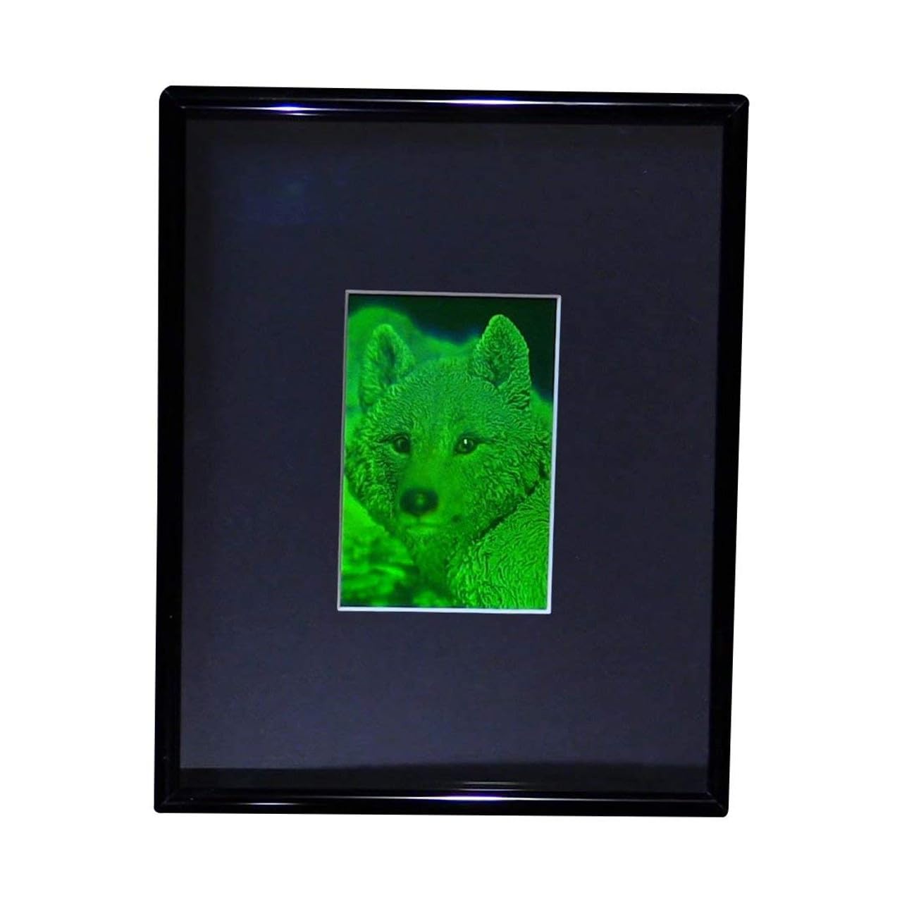 HoloBrands 3D Arctic Wolf 2-Channel Hologram Picture (FRAMED), Collectible Photopolymer Type Film