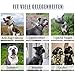Weich Neopren Gepolstert Hundehalsband (4cm Breite) Reflektierend Hund Halsband mit Robust Nylon & Zugstopp, Bequem Zughalsband Dressurhalsband für Kleine Mittlere Große Hunde Anti-Zug Walken M,Grau